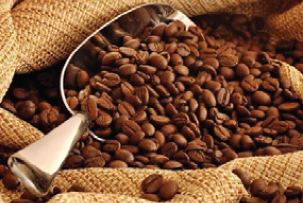 Tradeland Commodities